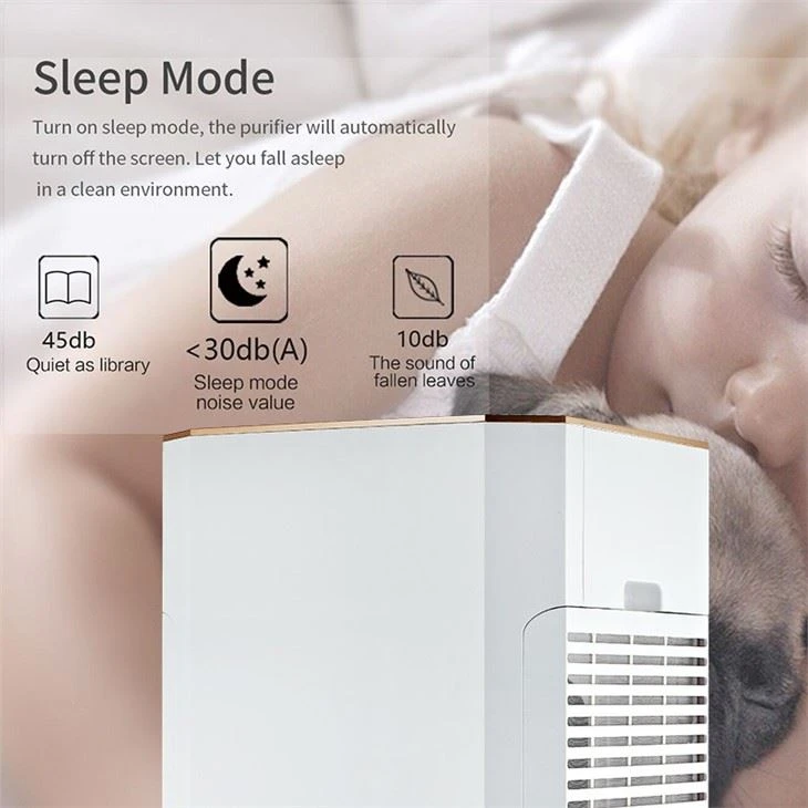 BKJ-80B DC Motor Large Room Air Purifier