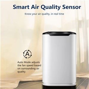 BKJ-215C Fabryczny oczyszczacz powietrza OEM